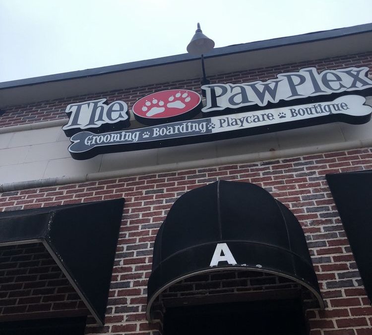 Everything Your Pet Needs at The PawPlex in Suwanee