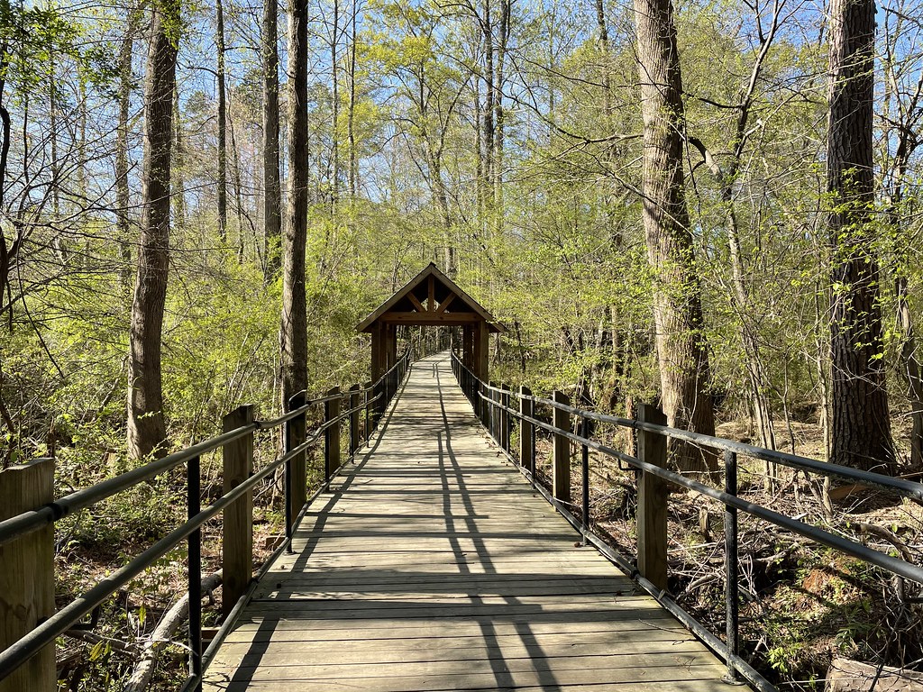 A serene view of Suwanee Creek Greenway, illustrating its inviting trails and lush surroundings.