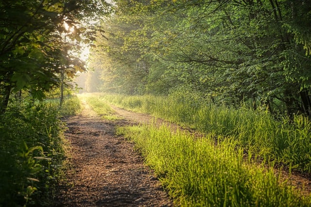 Discover the Charm of Suwanee Creek Greenway: From Sunup to Sundown