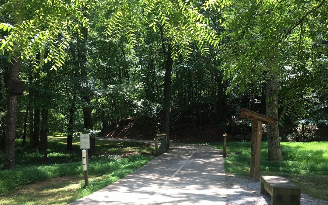 Outdoor Fun in Suwanee: Hike, Bike, and Play Your Way to Adventure!