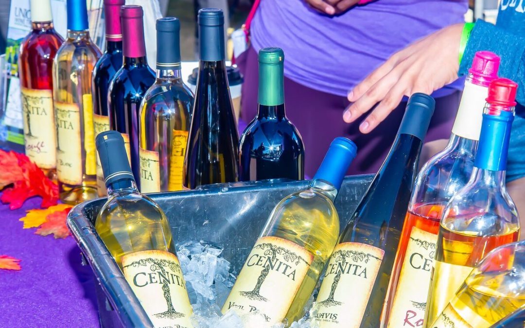 Taste Over 150 Wines at the Suwanee Wine Festival 2024