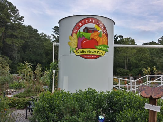 The Orchard at White Street Park: A Fruitful Adventure Awaits in Suwanee